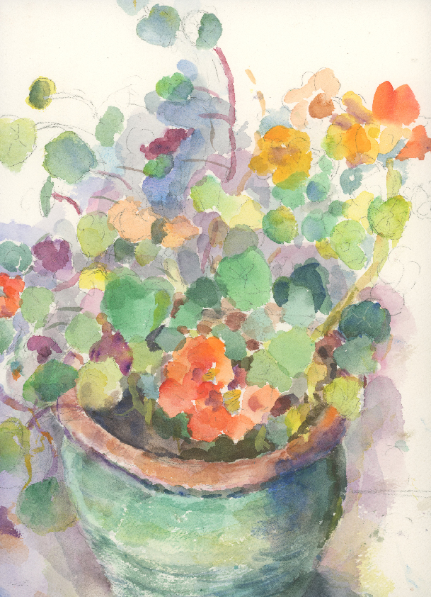 Flowers in pot